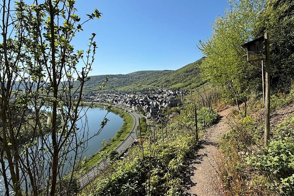 Calmont Klettersteig Mosel