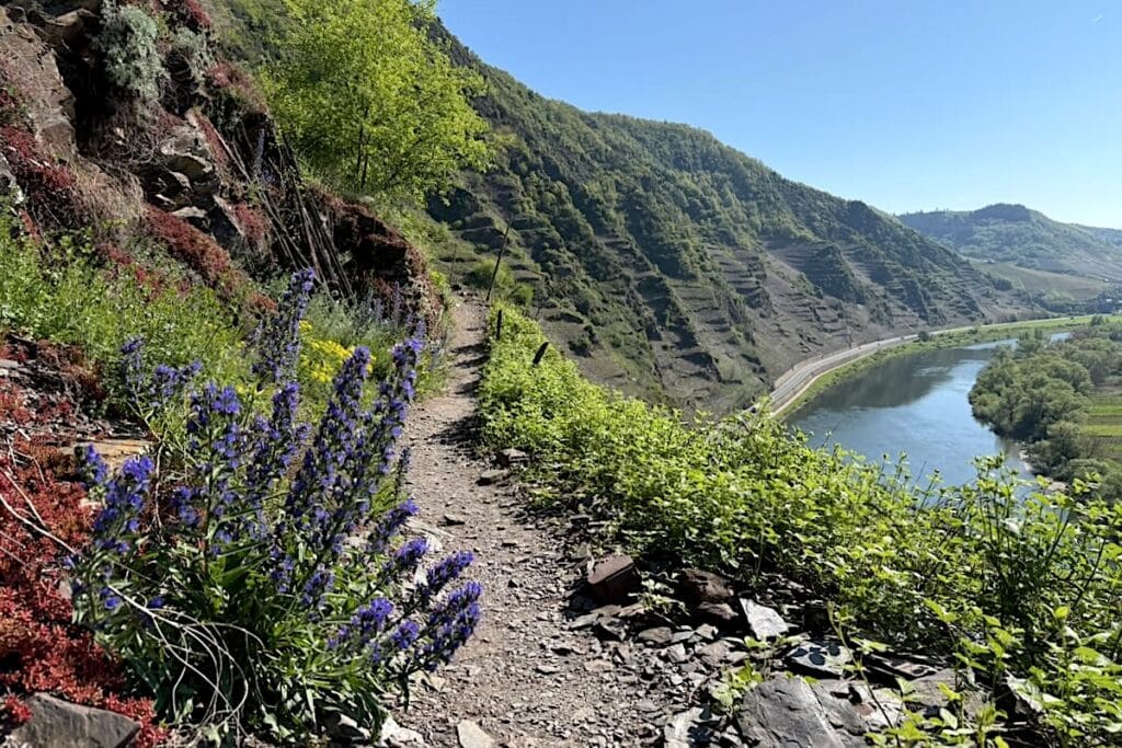 Calmont Klettersteig Mosel