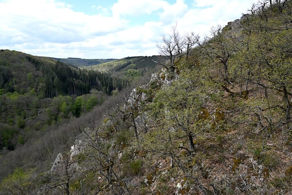 Geierlayschleife Wanderung Rundweg