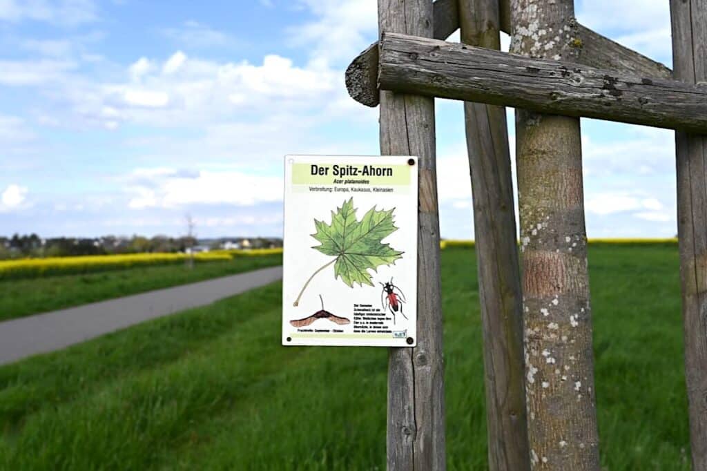 Traumschleife Hunsrück Wanderung Rundweg