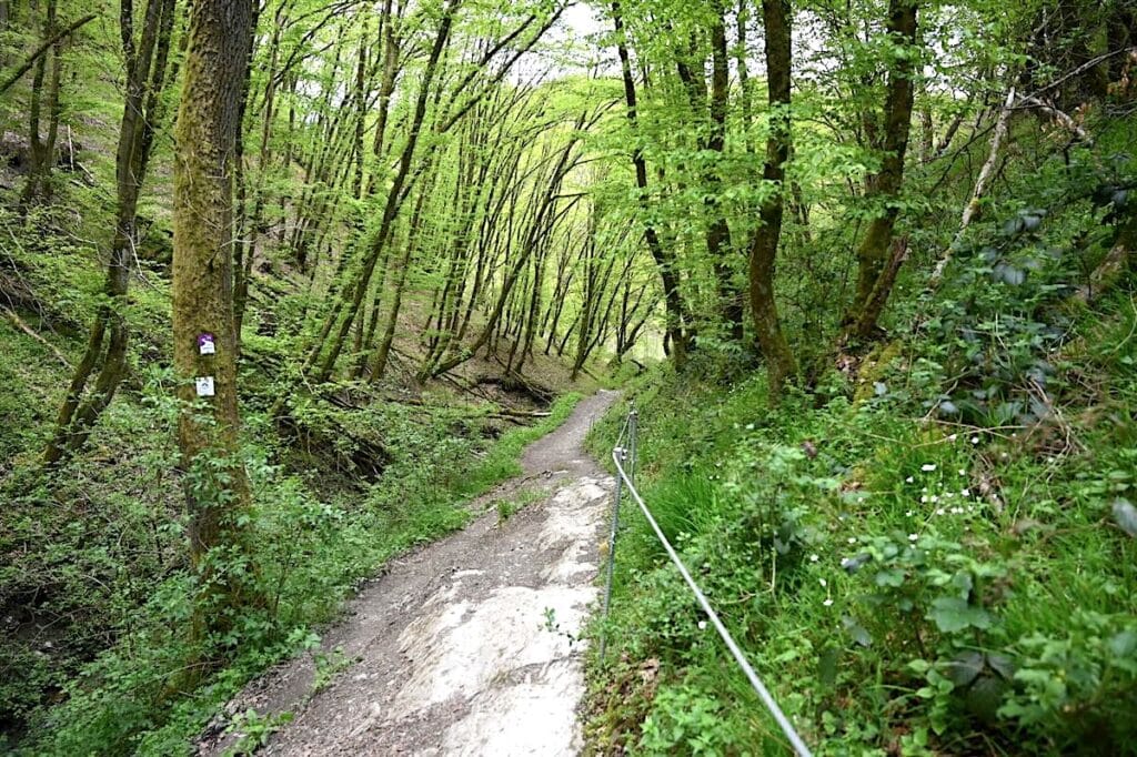 Traumschleife Hunsrück Wanderung Rundweg
