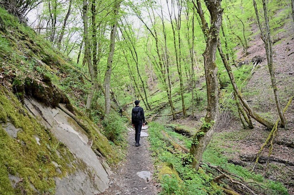 Traumschleife Hunsrück Wanderung Rundweg