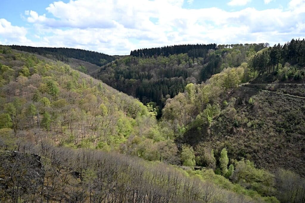 Geierlayschleife Wanderung Rundweg