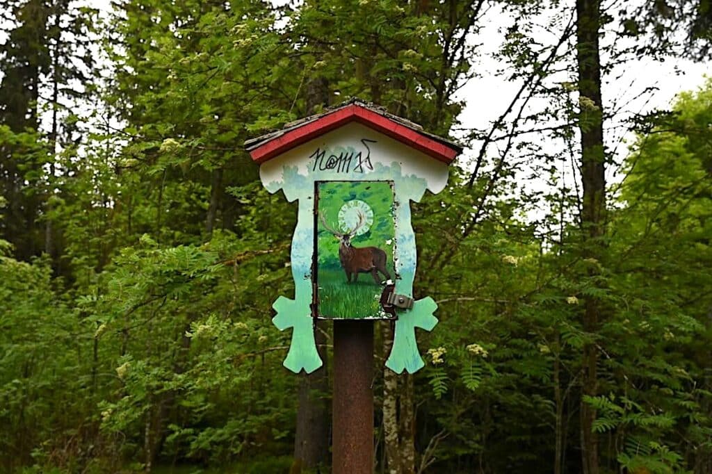 Schluchsee Wandern Jägersteig Genießerpfad Schwarzwald
