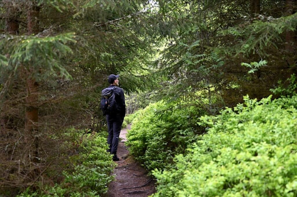 Schluchsee Wandern Jägersteig Genießerpfad Schwarzwald