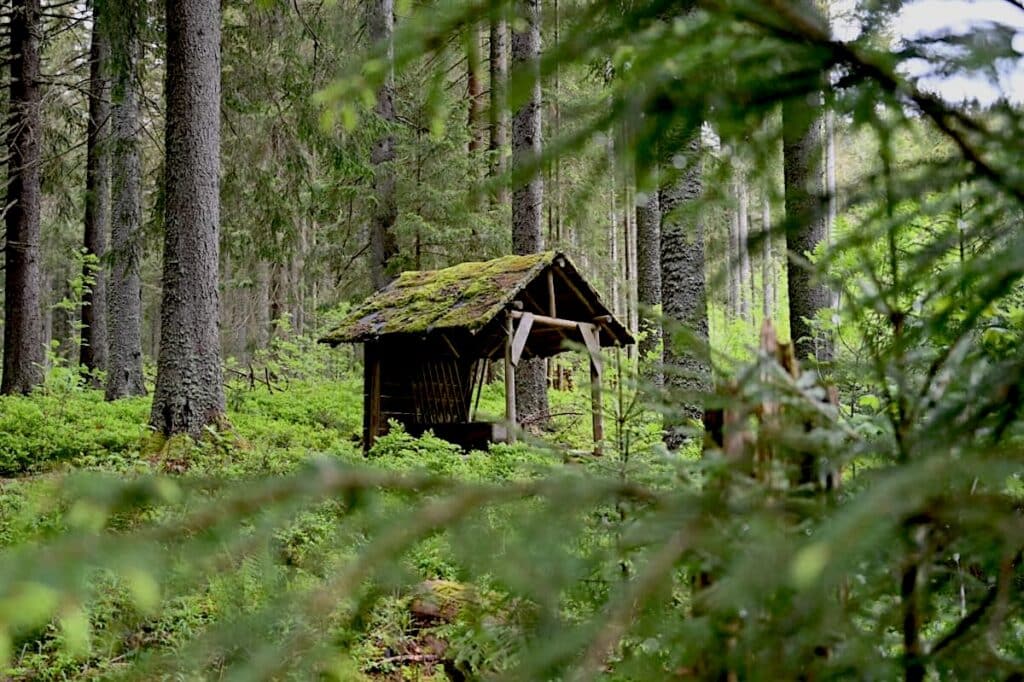 Schluchsee Wandern Jägersteig Genießerpfad Schwarzwald