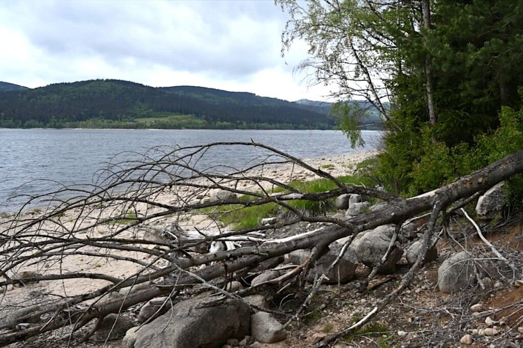 Schluchsee Schwarzwald Tipps
