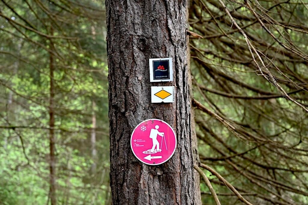 Schluchsee Wandern Jägersteig Genießerpfad Schwarzwald