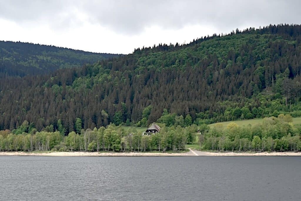 Schluchsee Wandern Jägersteig Genießerpfad Schwarzwald