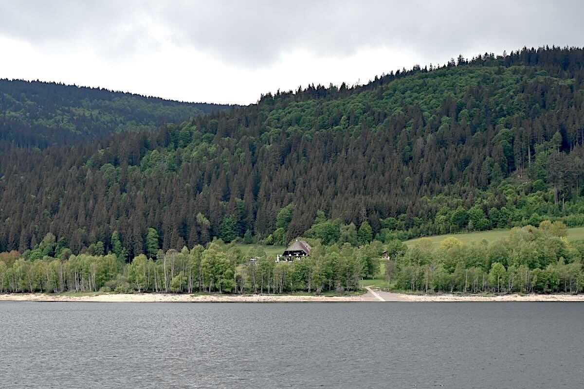 Schluchseer Jägersteig: Genießerpfad im Schwarzwald