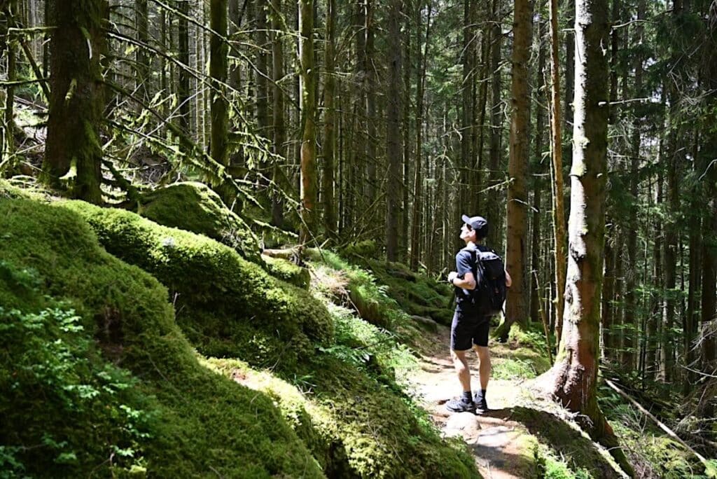 Vallée de la Bruche Wandern Elsass Vogesen