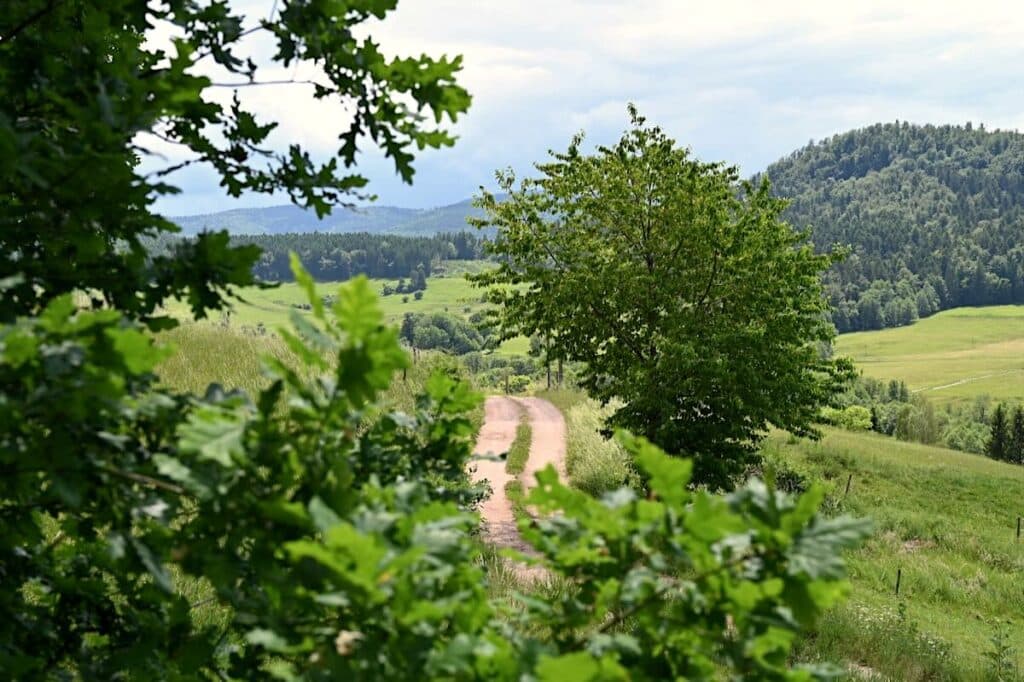 Vallée de la Bruche Wandern Elsass Vogesen