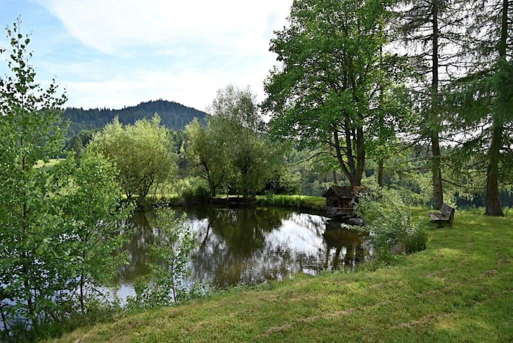 Ferme Nouveau Chemin Elsass Bruche