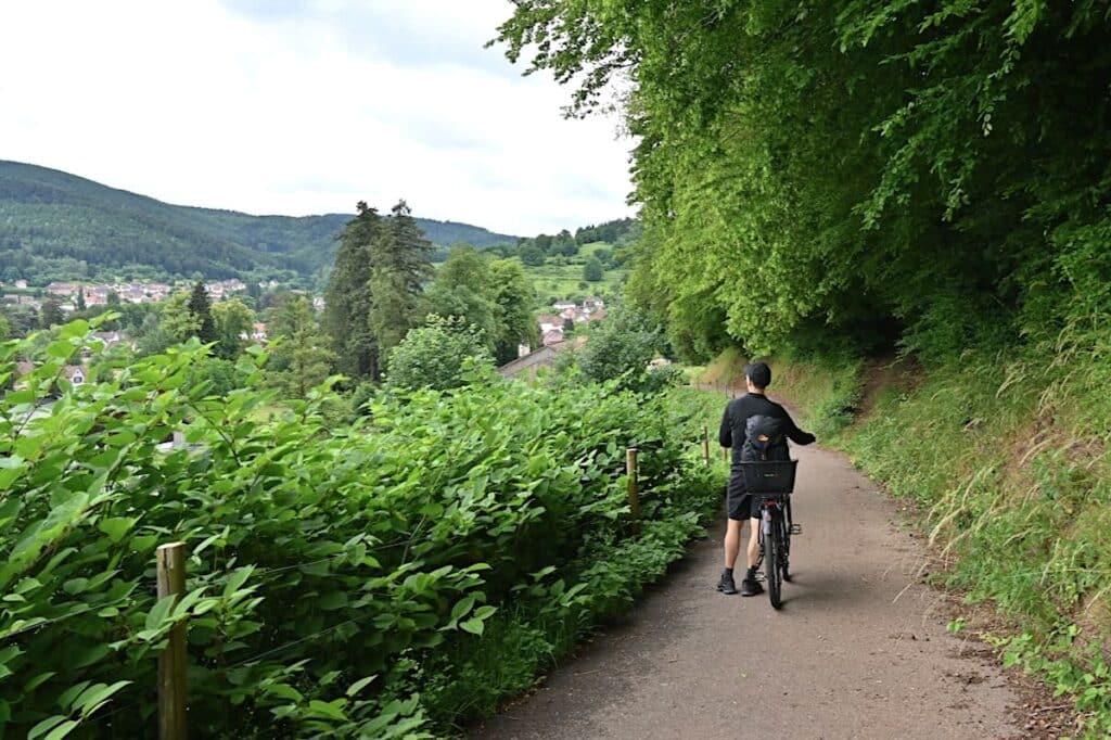Vélo Bruche Radweg Elsass Vogesen Radfahren