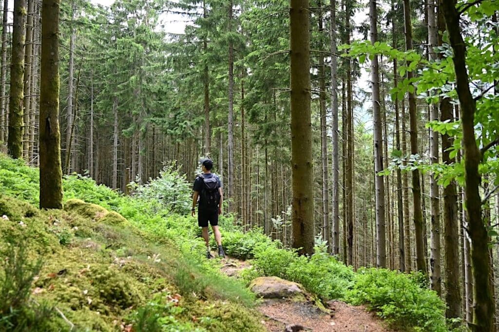 Vallée de la Bruche Wandern Elsass Vogesen