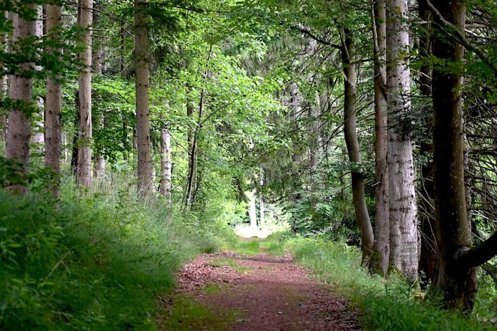 Vallée de la Bruche Wandern Elsass Vogesen