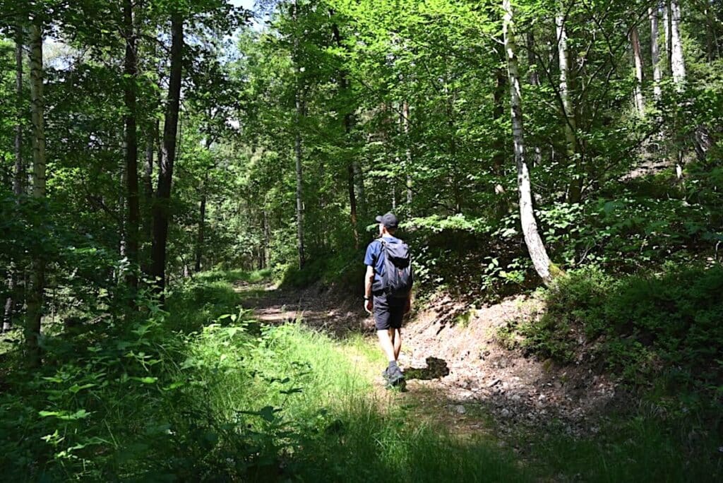 Vogtland Wandern Elsterperlenweg Rundweg Touren Tipps