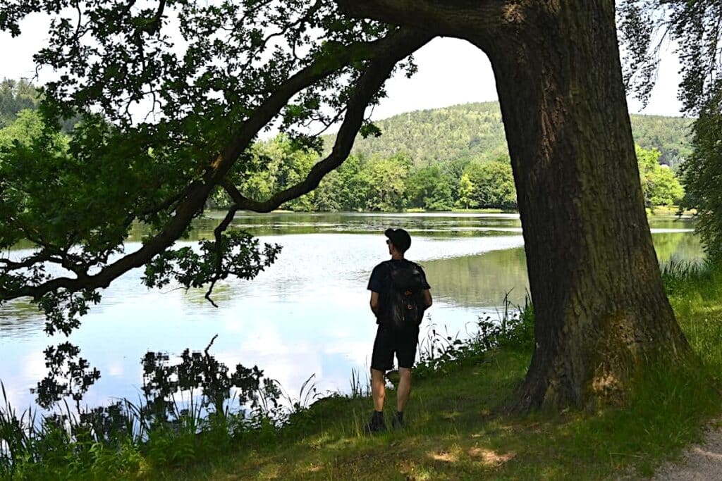 Fürstlich Greizer Park Greiz
