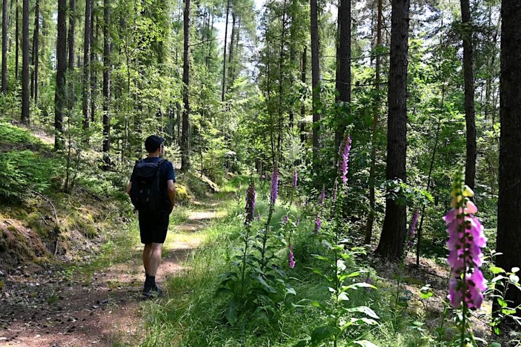 Vogtland Wandern Elsterperlenweg Rundweg Touren Tipps