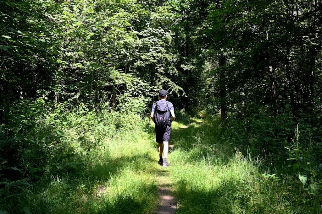 Vogtland Wandern Elsterperlenweg Rundweg Touren Tipps