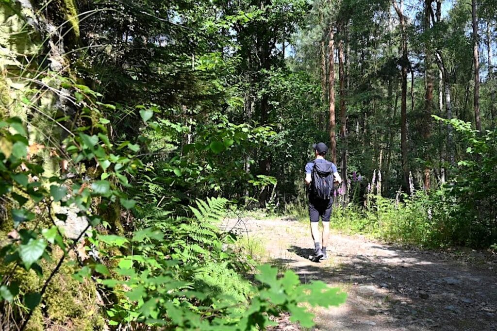 Vogtland Wandern Elsterperlenweg Rundweg Touren Tipps