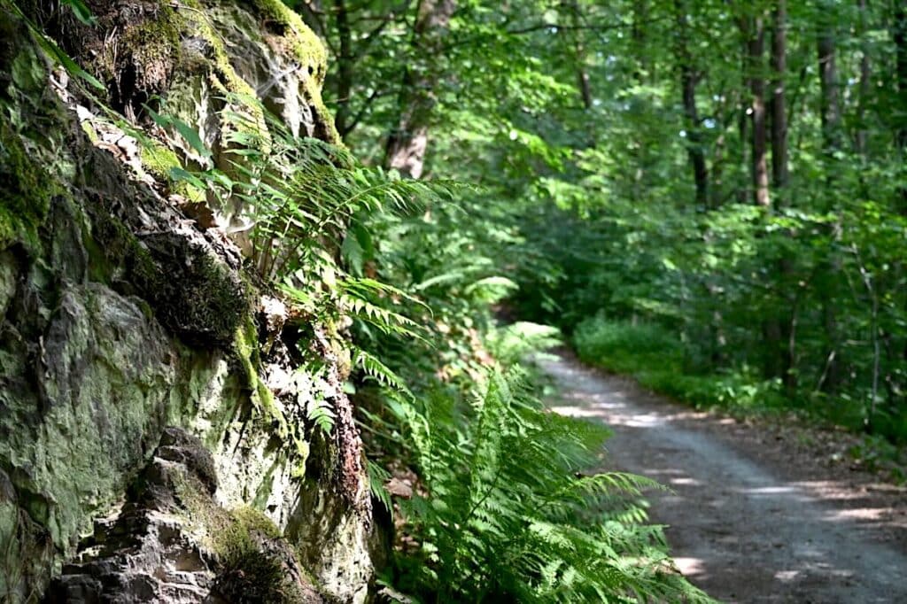 Vogtland Wandern Elsterperlenweg Rundweg Touren Tipps