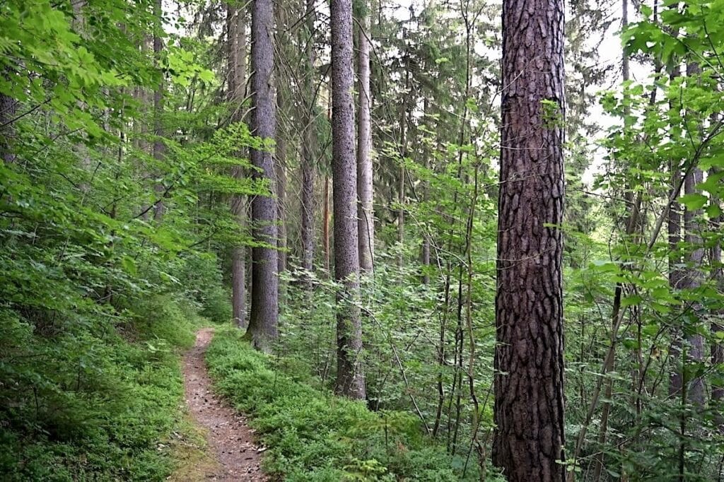 Bad Elster Wandern Rundweg Tour