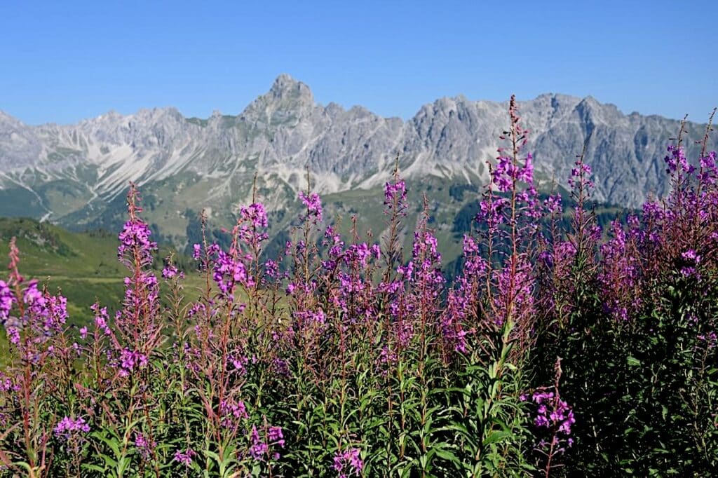 Montafon Wandern Vorarlberg Touren Rätikon