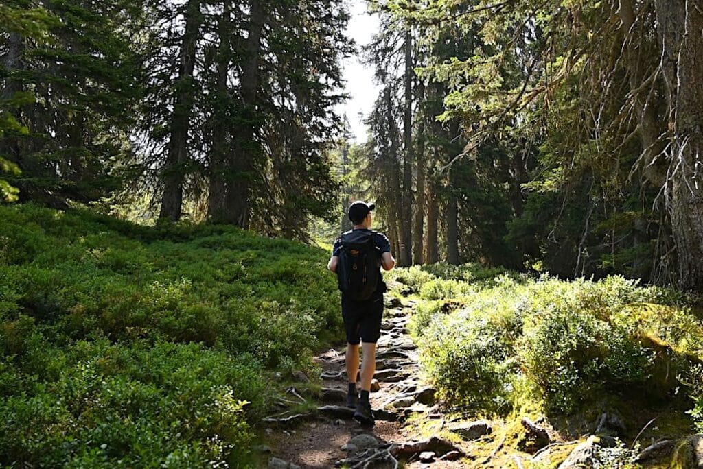 Muttwald Muttjöchler Wanderung