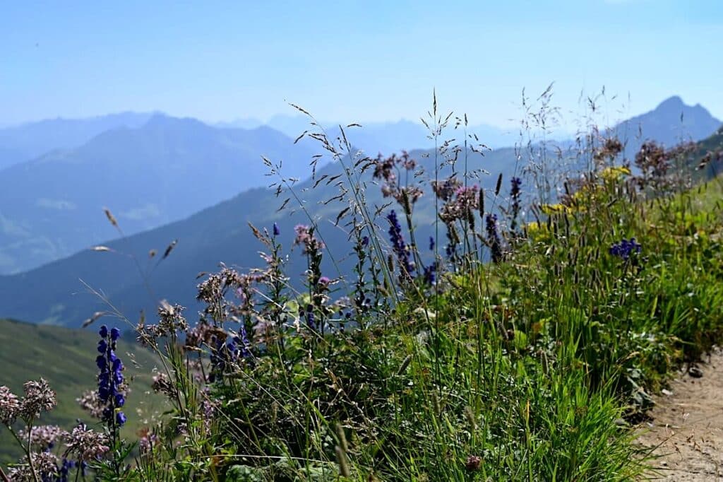 Montafon Wandern Vorarlberg Touren Rätikon