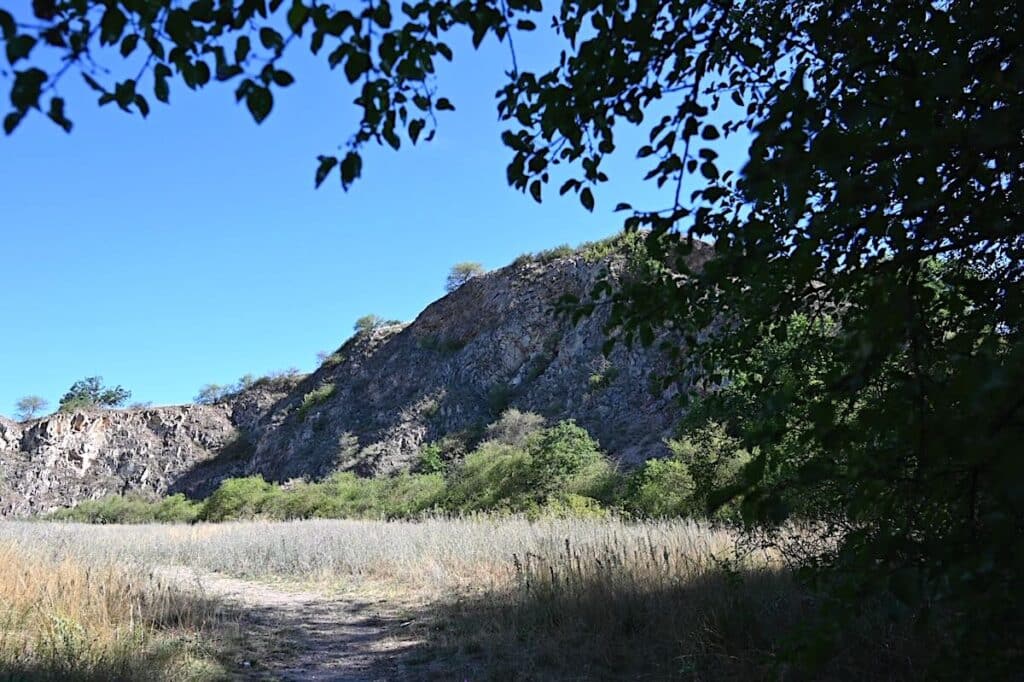 Rheinhessen Wanderung Rundweg Tour Tipps