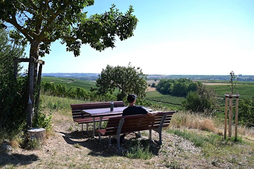 Hiwweltouren Rheinhessen Wanderung Rundweg Tour Tipps