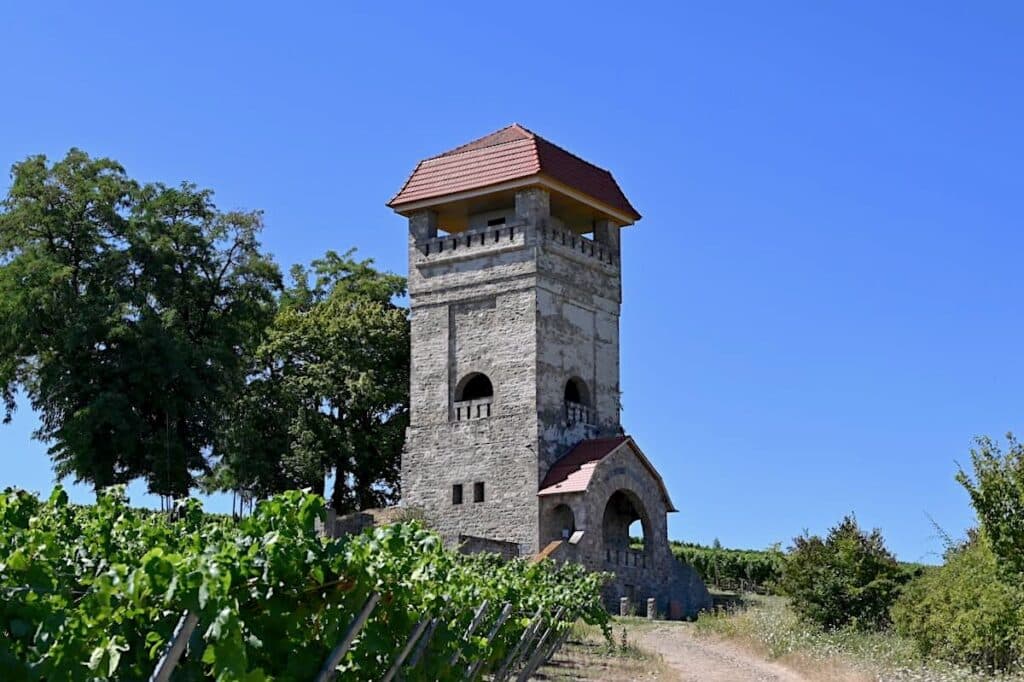 Hiwweltouren Rheinhessen Wanderung Rundweg Tour Tipps