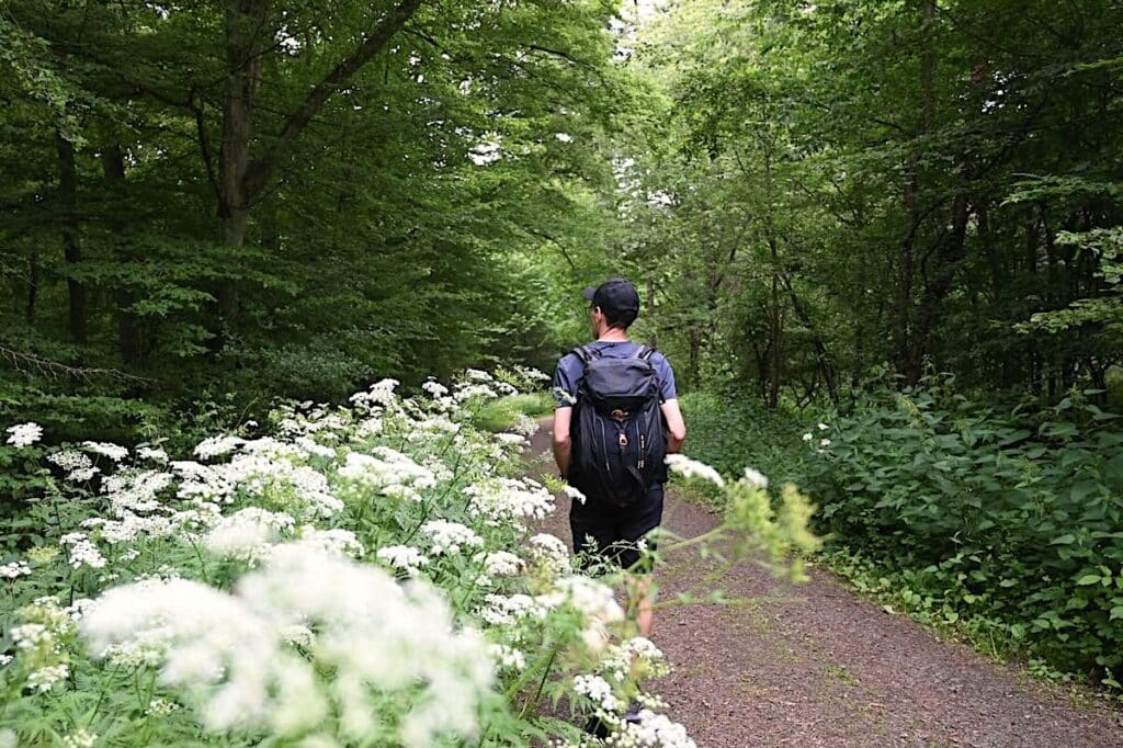 Rheinhessen Wanderung Rundweg Tour Tipps