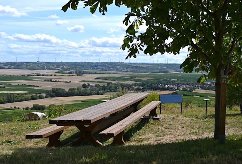 Rheinhessen Wanderung Rundweg Tour Tipps