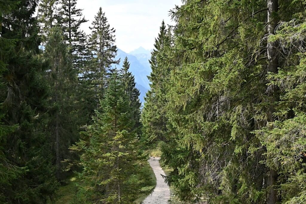 Tannheimer Tal Wandern Touren Rundwege Tipps