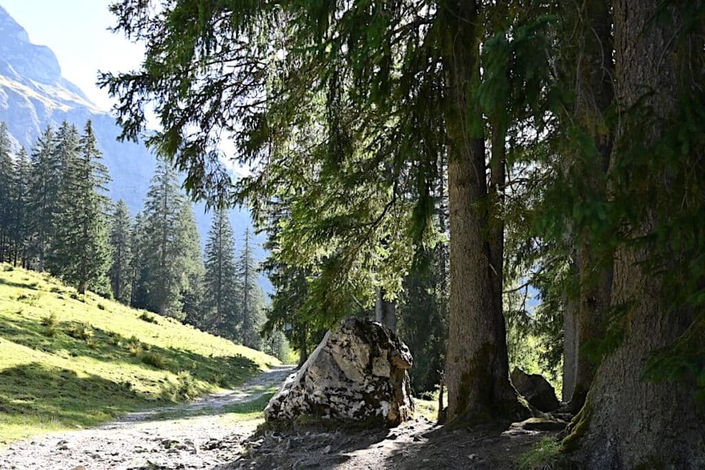 Vilsalpsee Tirol